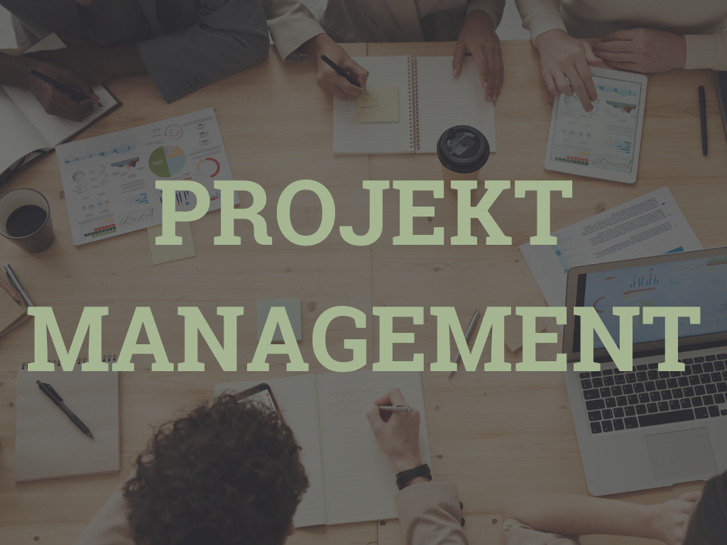 Kreative Problemlöserin | Portfolio